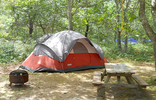 Premium Tent - North Truro