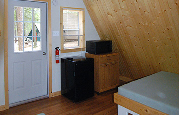 rustic cabin rental interior microwave and fridge
